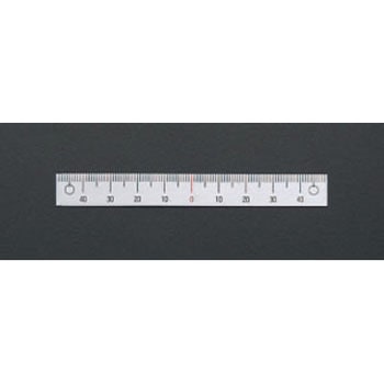100mm [中心振分/上目盛]スケール - エスコ