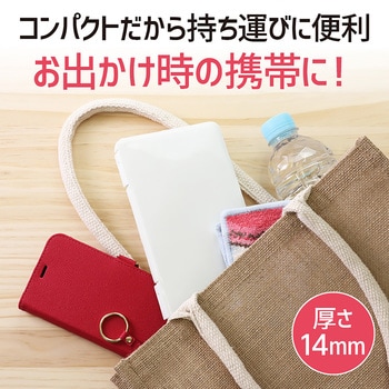 プラスチック製マスクケース - 伊勢藤