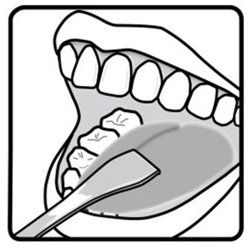 ステンレス 舌みがき 関兼常