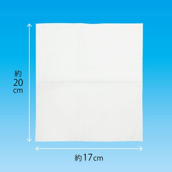 不織布フェイスガーゼ 100枚入×4箱セット エスパック