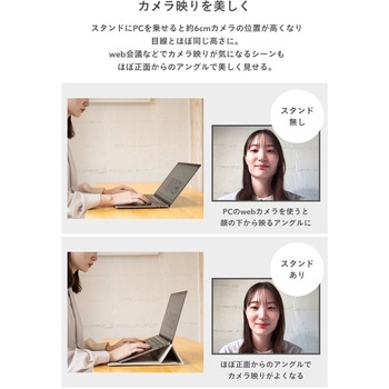 salisty(サリスティ)スタンド機能付きPCケース salisty