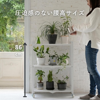 折りたたみラック YAMAZEN(山善)