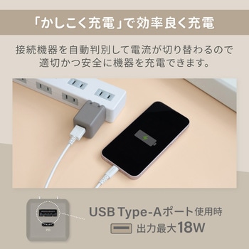 AC充電器 OWLTECH(オウルテック)