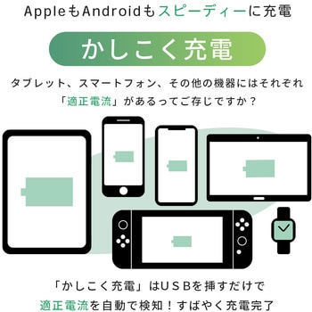 AC充電器 MOTTERU