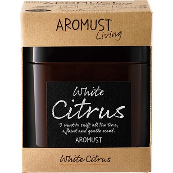 - ������ �A���}�X�g���r���O ������(���F�I�J���g�Y��) �{�� 50698517