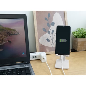 USB Type-C to Type-Cケーブル OWLTECH(オウルテック)