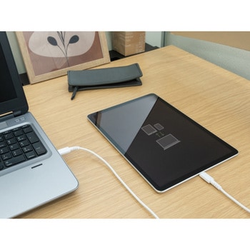 USB Type-C to Type-Cケーブル OWLTECH(オウルテック)