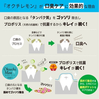 オクチミント ビタットジャパン