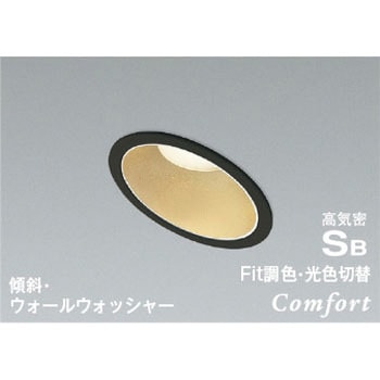 AD1237B99 ���C��SB�_�E�����C�g �R�C�Y�~(���򐬊�) 50751349