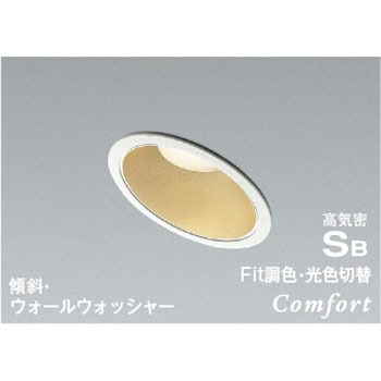 AD1237W99 ���C��SB�_�E�����C�g �R�C�Y�~(���򐬊�) 50751358