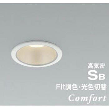 AD1251W99 ���C��SB�_�E�����C�g �R�C�Y�~(���򐬊�) 50751769