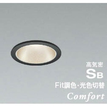 AD1252B99 ���C��SB�_�E�����C�g �R�C�Y�~(���򐬊�) 50751778