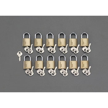 20mm 南京錠(マスターキー付/12個組) エスコ