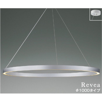 AP54256 �y���_���g �R�C�Y�~(���򐬊�) 50768569