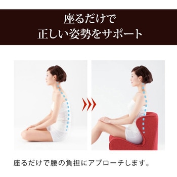 Style ドクターチェア MTG