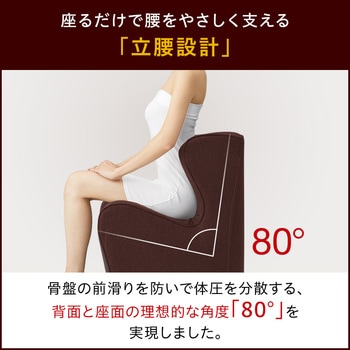 Style ドクターチェアプラス MTG