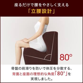 Style ドクターチェアプラス MTG