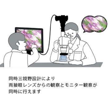 ＜同時3視野＞ズーム式実体顕微鏡 伸太T(3年保証) マイクロネット