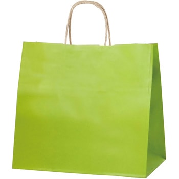 手提げ袋 お手軽価格で贈りやすい グリーンR くらしを楽しむアイテム