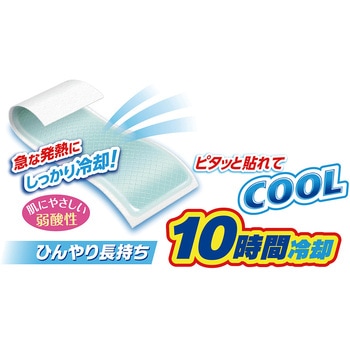アイスノン 冷却シート 1箱 10包×3枚入 白元アース