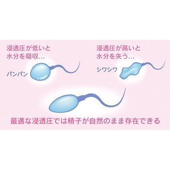 ポジティブサポート 相模ゴム