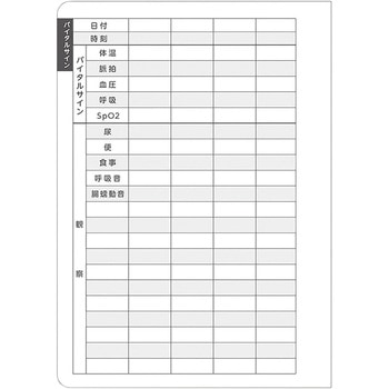 看護ノート イトマン
