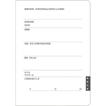 看護ノート イトマン