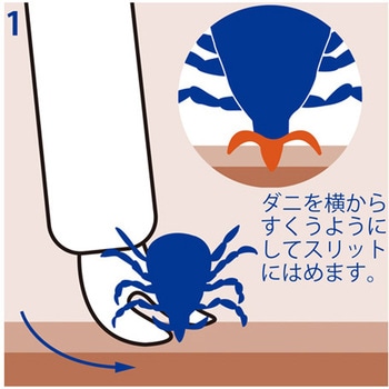 エレクティック auvex(オーベックス)