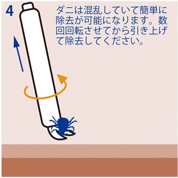 エレクティック auvex(オーベックス)