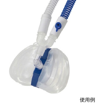 成人用テスト肺 C-Lung 1000 10個入 イワキ