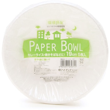 環境良品ボール19cm 5P アートナップ