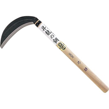 140887 �����̍| �؊� �J�l�R���� 50962677