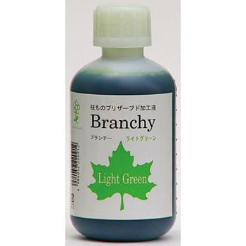 ライトグリーン プリザーブド加工液 ブランチー パレス化学 50964104