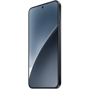 Xiaomi 15 Black 12GB+256GB Xiaomi
