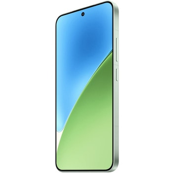 Xiaomi 15 Green 12GB+256GB Xiaomi
