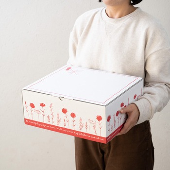 母の日宅配ギフトBOX/カーネーションブーケ HEADS(ヘッズ)