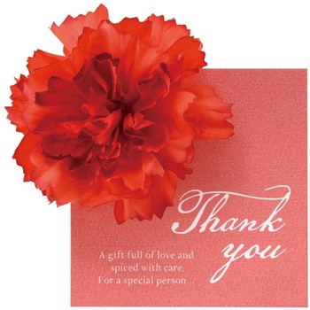 HMA-C6 ��̓��n���h���C�h�J�[�h HEADS(�w�b�Y) 51048264