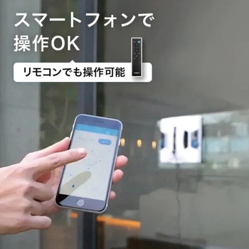 HOBOT 2S HOBOT