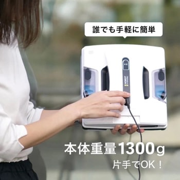 HOBOT 2S HOBOT