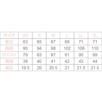 チュニックLDL-2302 ホワイト SS - CML