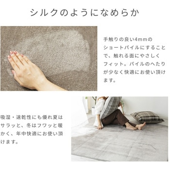 洗えるフランネルラグ 抗菌防臭・防ダニ YAMAZEN(山善)