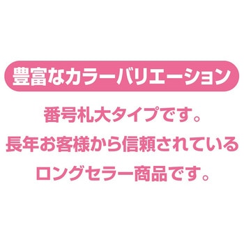 プラスチック番号札(大)51～100(1組) 共栄プラスチック