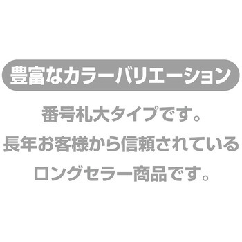 プラスチック番号札(大)51～100(1組) 共栄プラスチック