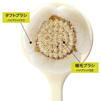 ボディケアブラシ 日本クリンテック