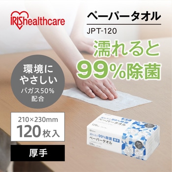 濡らして除菌ペーパータオル 120枚 アイリスオーヤマ