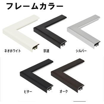 コレクションケースMサイズ 太縁 アルナ