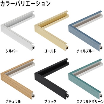コレクションケースMサイズ 細縁 アルナ