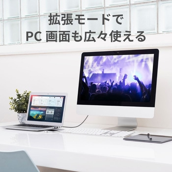 USB Type-C to HDMI 変換ケーブル(PD対応・3m) ラトックシステム