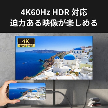 USB Type-C to HDMI 変換ケーブル(PD対応・5m) ラトックシステム
