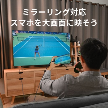 USB Type-C to HDMI 変換ケーブル(PD対応・5m) ラトックシステム